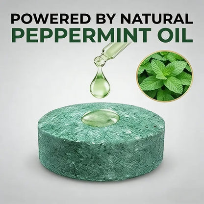 Natural Peppermint Rodent Repellent Balls (12 PCS) – Keep Rats, Mice & Pests Away Safely