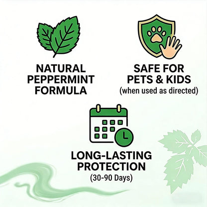 Natural Peppermint Rodent Repellent Balls (12 PCS) – Keep Rats, Mice & Pests Away Safely